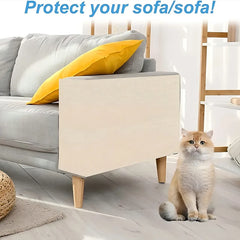 Couch Scratch Guard