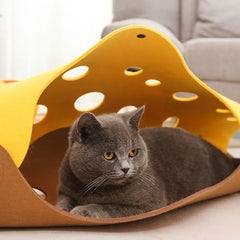 Cat Tunnel Toy