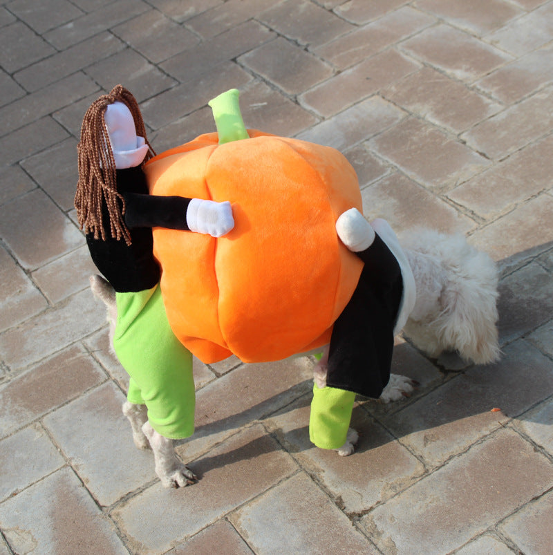 Pumpkin Halloween Costume - SALE✨