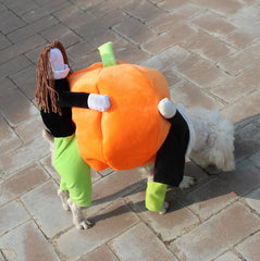 Pumpkin Halloween Costume - SALE✨