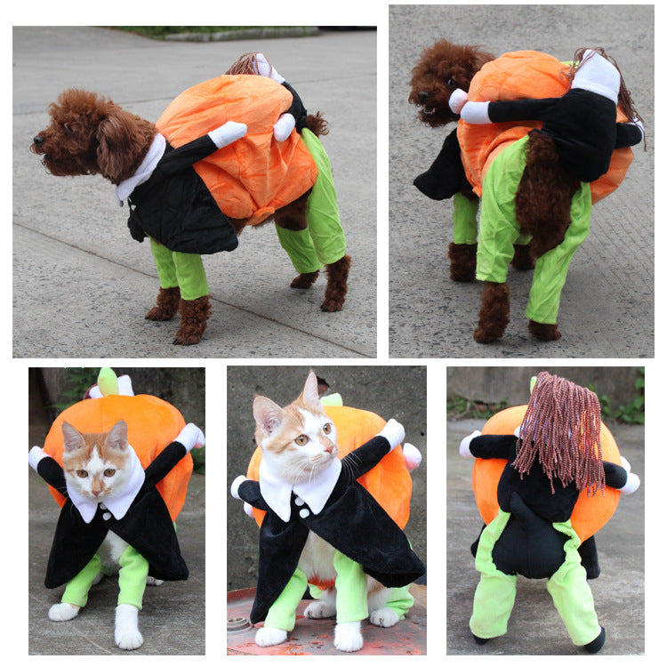 Pumpkin Halloween Costume - SALE✨