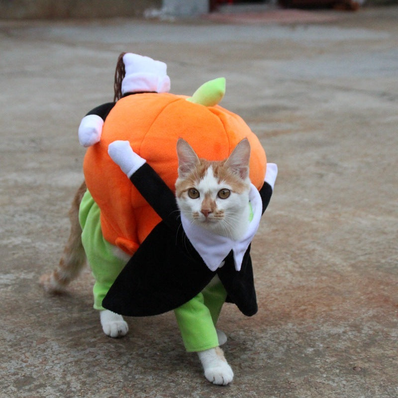 Pumpkin Halloween Costume - SALE✨