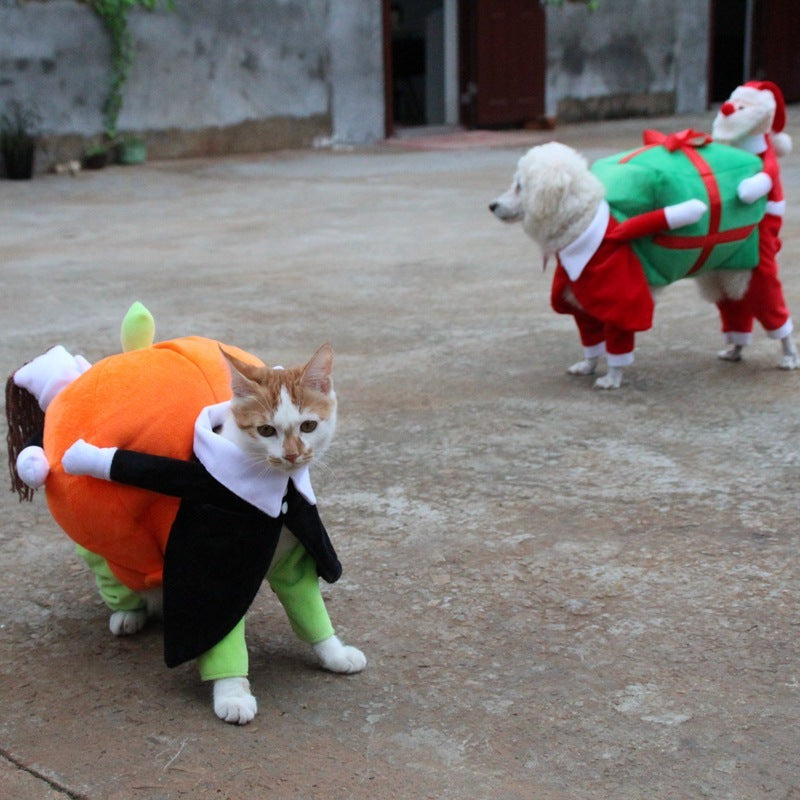 Pumpkin Halloween Costume - SALE✨