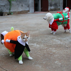 Pumpkin Halloween Costume - SALE✨