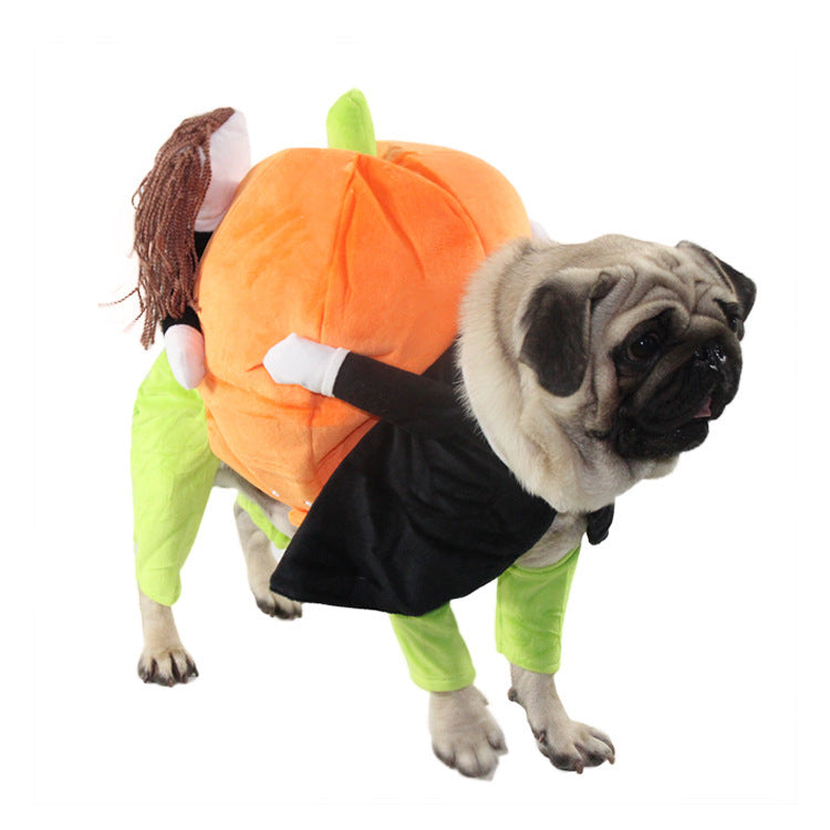 Pumpkin Halloween Costume - SALE✨
