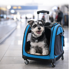 Furry Friend Carrier Backpack